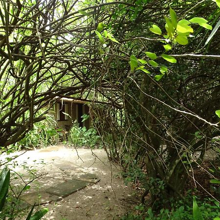 Hotel Jungle House São Miguel do Gostoso Esterno foto