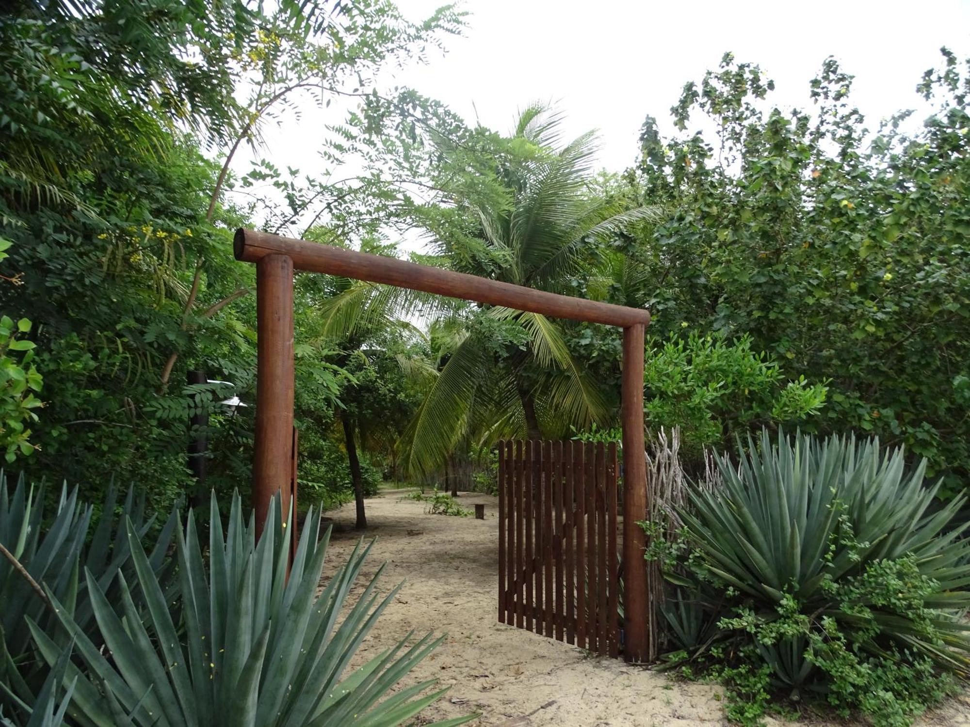 Hotel Jungle House São Miguel do Gostoso Esterno foto