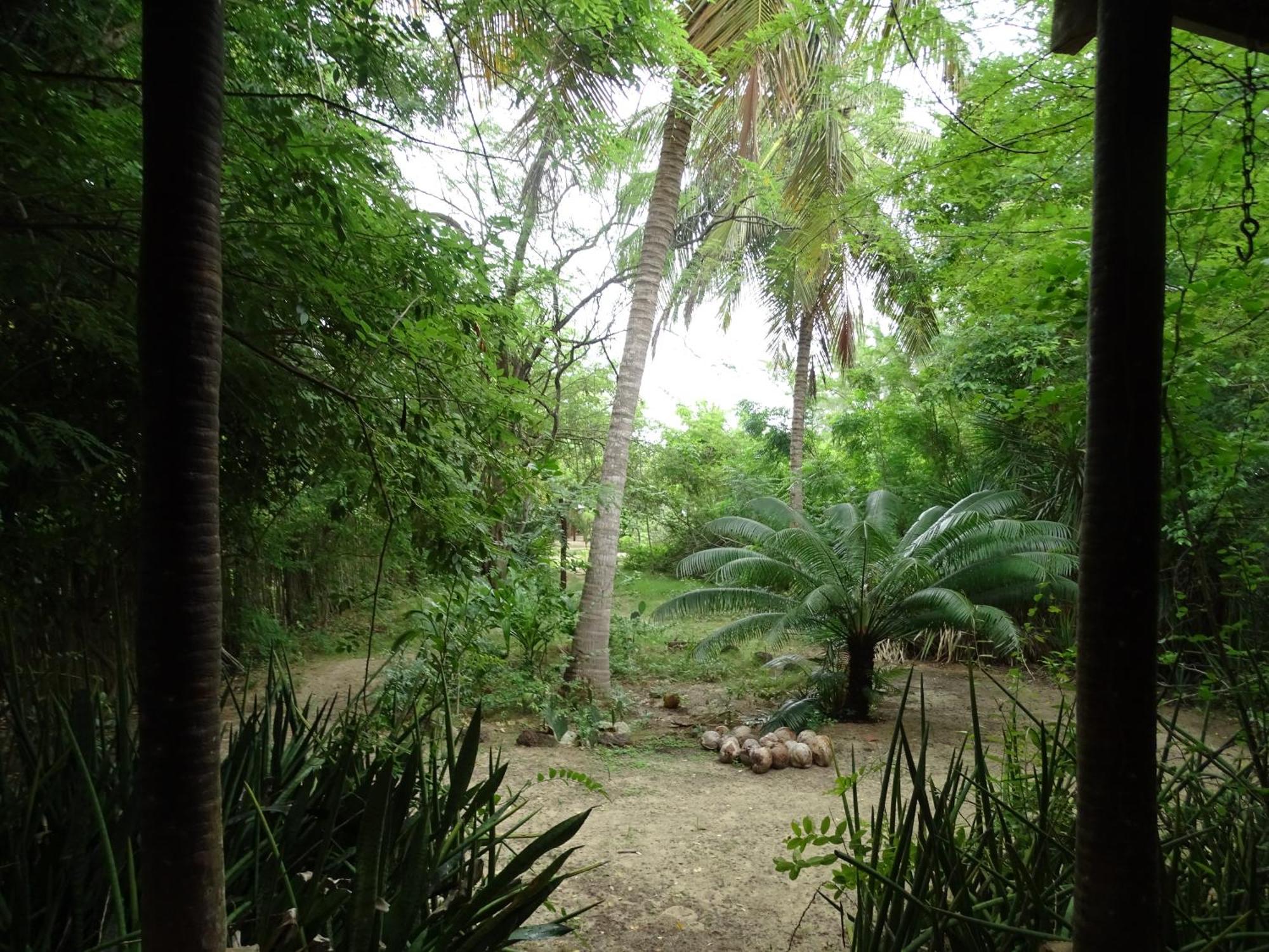 Hotel Jungle House São Miguel do Gostoso Esterno foto