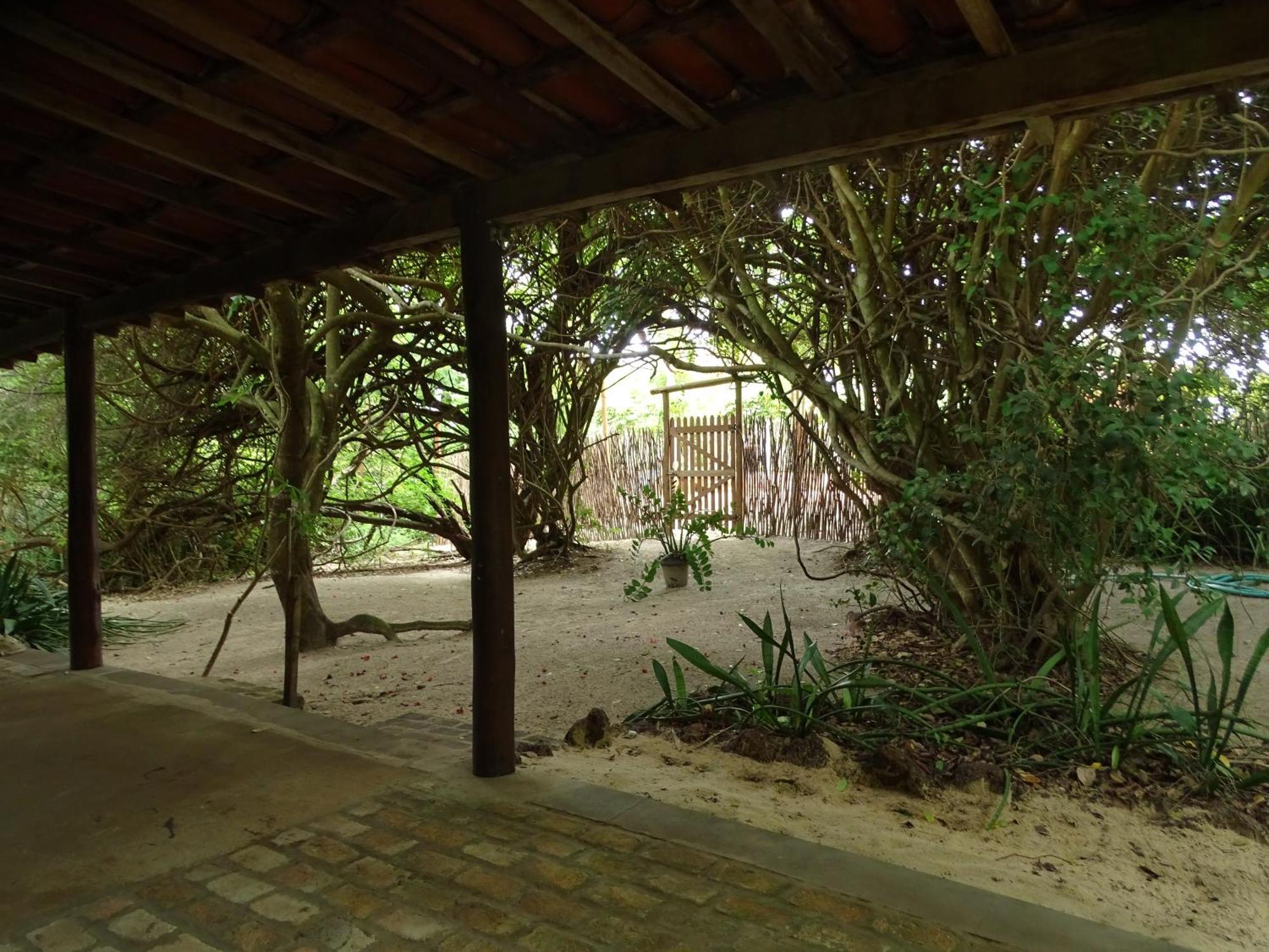 Hotel Jungle House São Miguel do Gostoso Esterno foto
